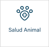 salud-animal